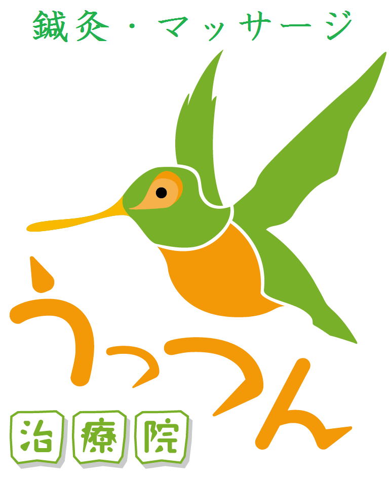 画像をダウンロード ハチドリ 画像 透明なpng画像をダウンロードするのに最適なサイト