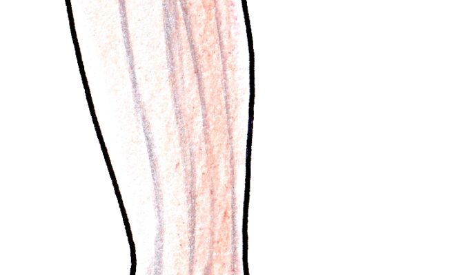 委中