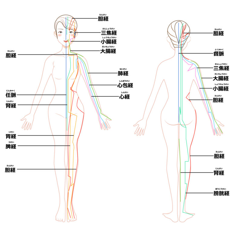 鍼灸などで使われる経穴と経絡ってそもそもどういう意味？ | 名古屋市中川区の鍼灸・マッサージ | うっつん治療院